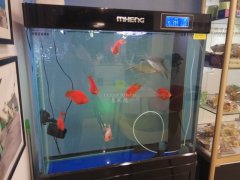 玻璃魚缸臟了怎么清洗才干凈？