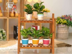 花架如何清潔？花架清潔小妙招